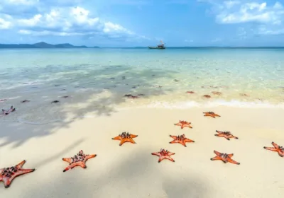 Relax at Sao Beach: A tropical escape of white sand and clear water