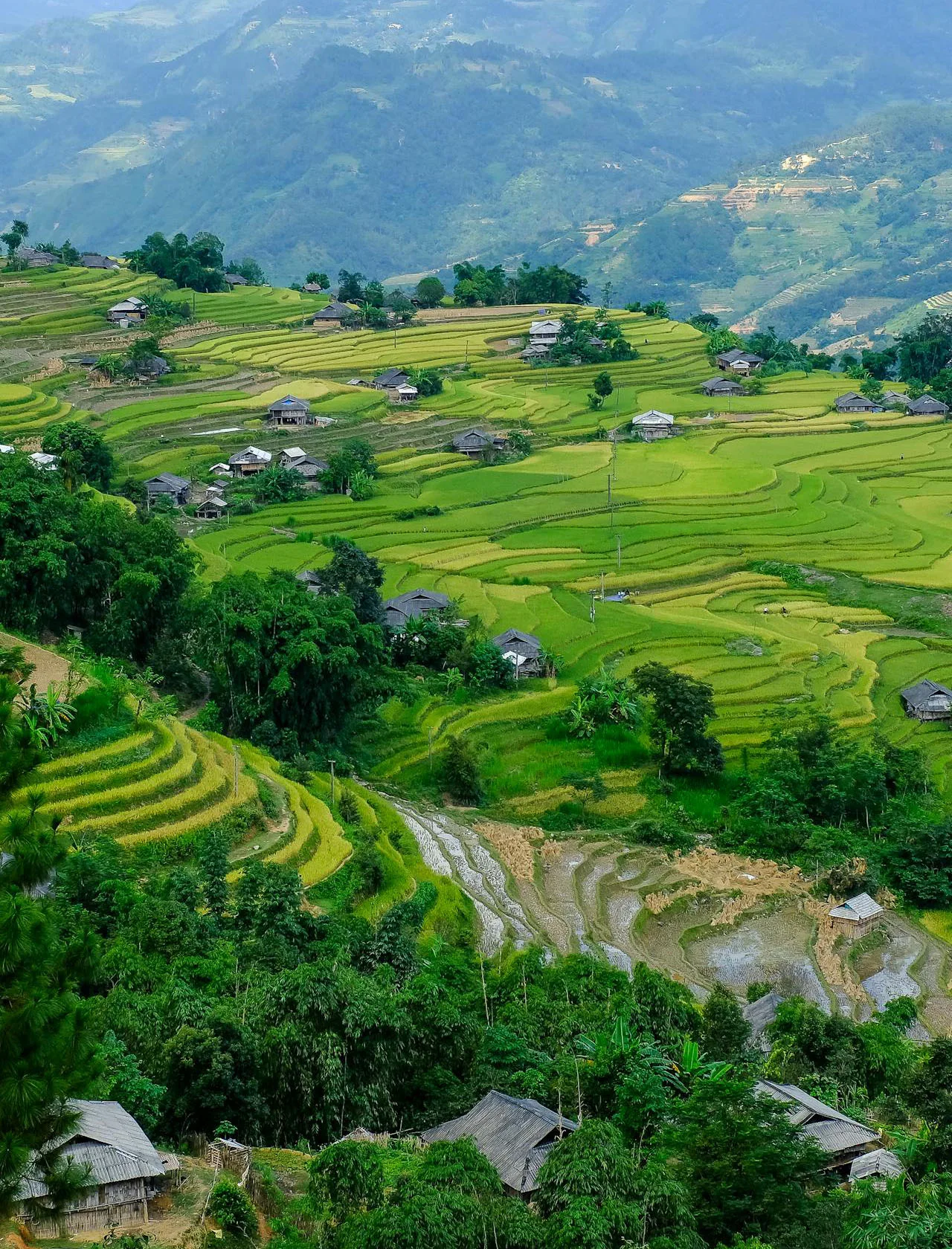 Vietnam