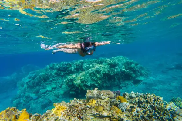Cham Island Sightseeing And Snorkeling Tour