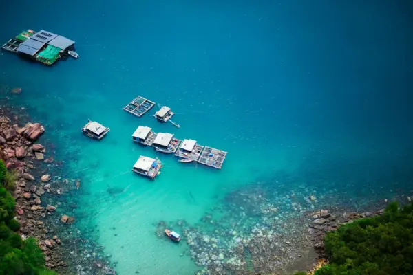 7 Days Culture & Nature of Ho Chi Minh City & Phu Quoc