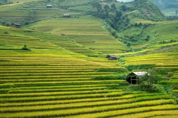 13 Days Northern Vietnam: A Journey into Nature