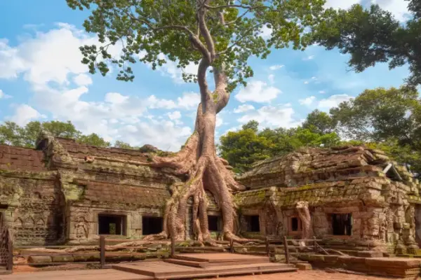 Essence of Cambodia & Laos